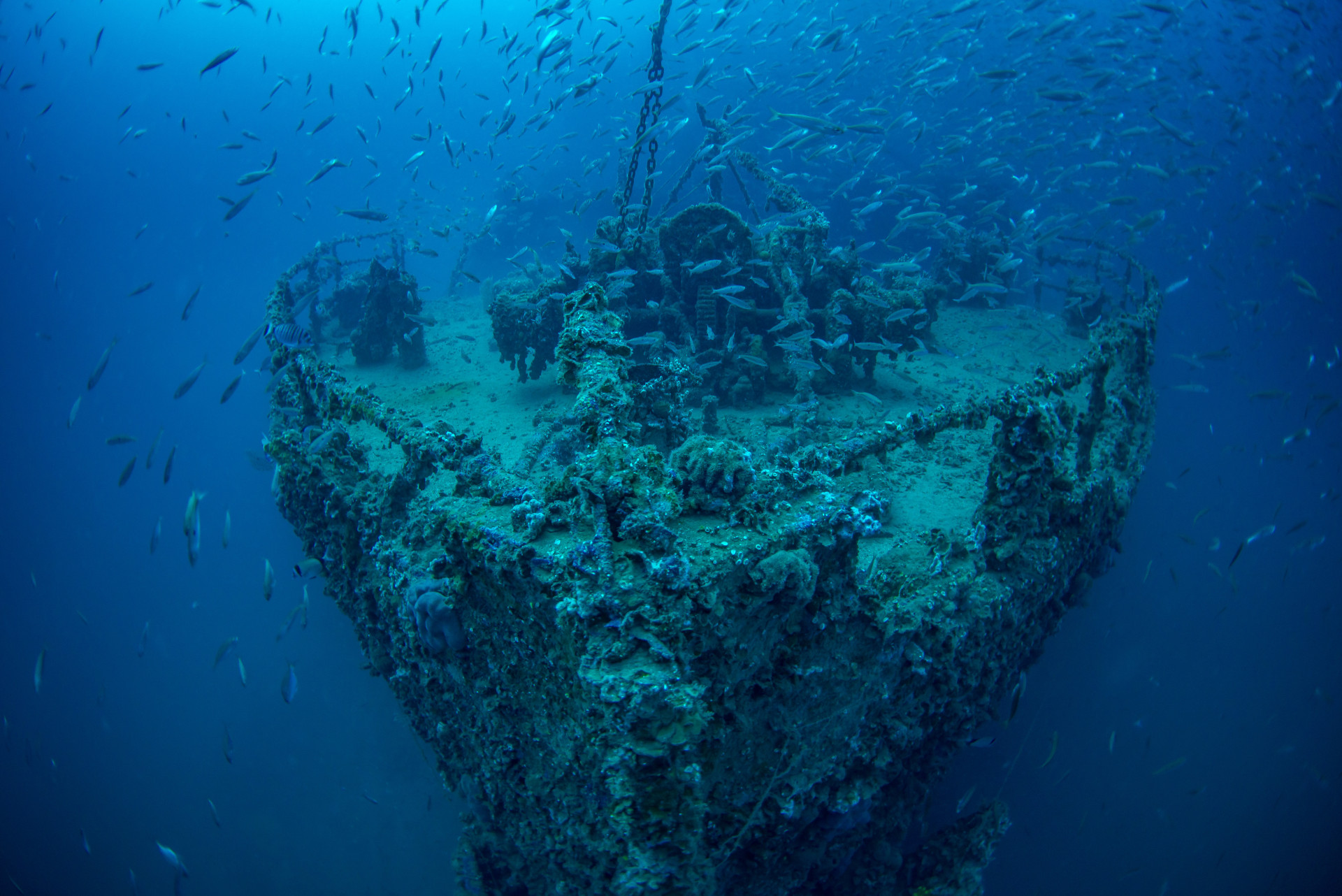 Mysterieuze verdwijningen