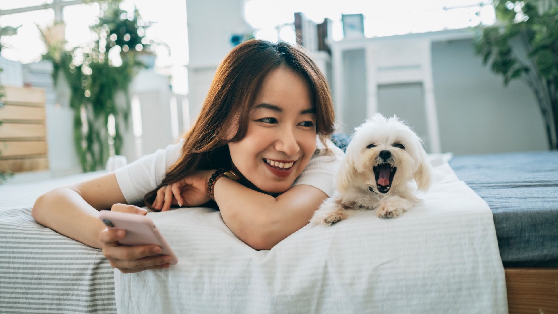 <p>                     The largest percentage of dogs (45%) sleep in their owner's bed according to the <a href="https://www.akc.org/expert-advice/lifestyle/where-do-dogs-sleep-at-night-infographic/" rel="nofollow">American Kennel Club</a>. 20% sleep in a crate, 17% in a dog crate and 14% in various places inside the house. 4% sleep in a shelter outdoors.                   </p>