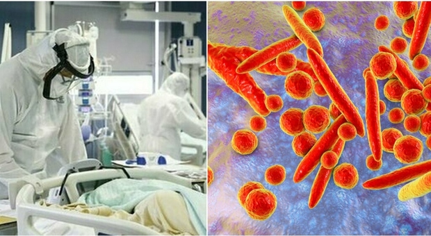 polmonite nei bimbi, picco contagi in europa: rischio nuova pandemia? «batterio pericoloso come un virus»