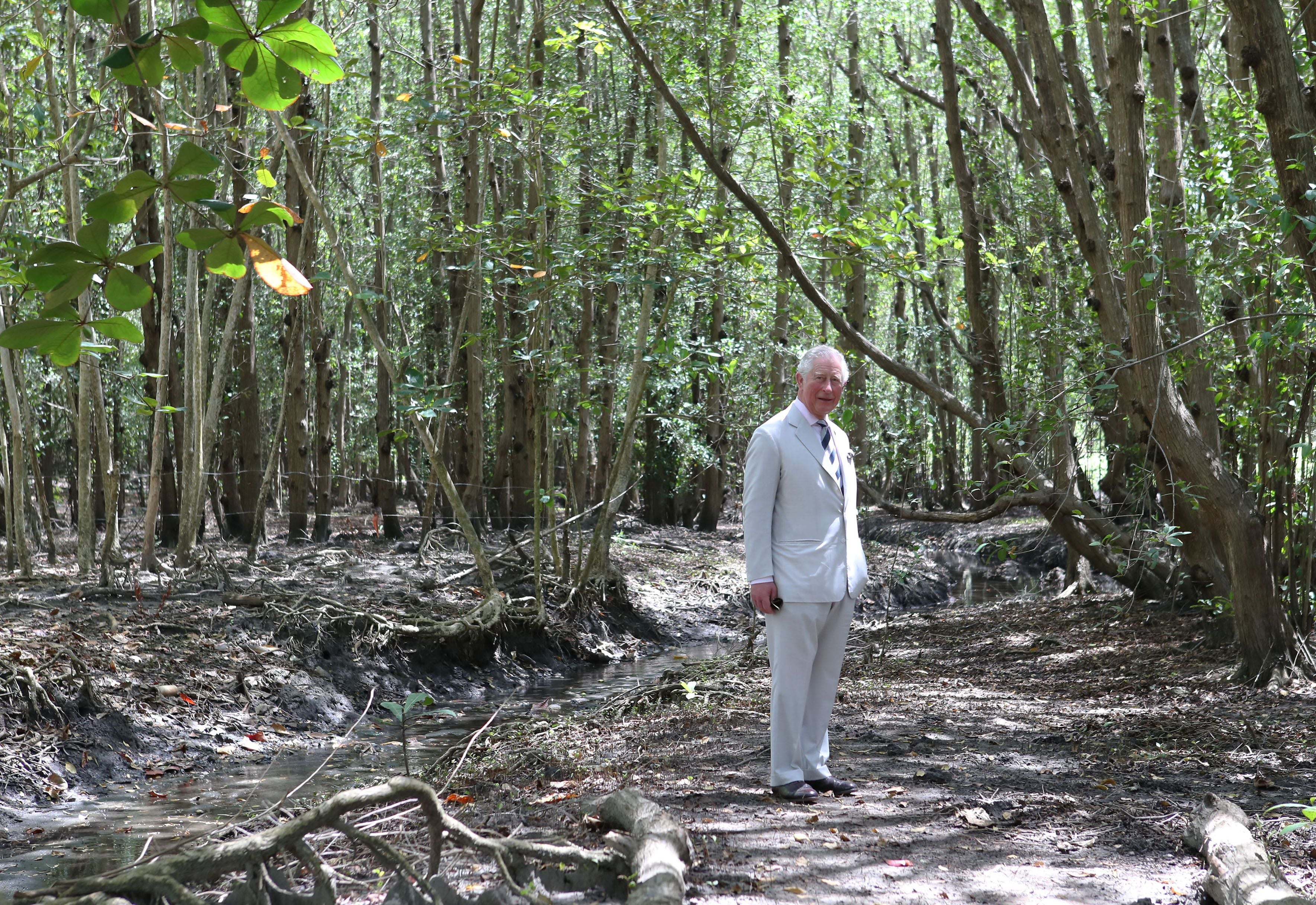 amazon, 'green' king charles's lifelong environmentalism the bedrock of his cop28 appearance