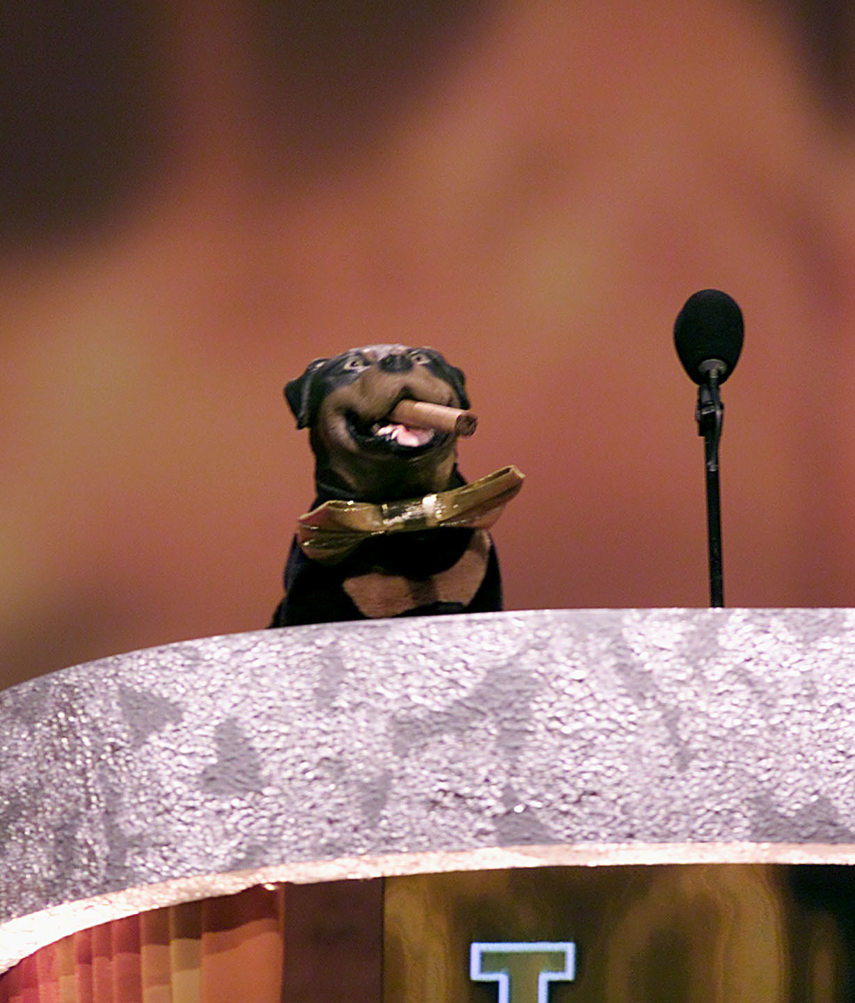 <p><span>He hasn't been back since the Rob Reiner "Roast," but Triumph the Insult Comic Dog is the perfect member of a roast dais. His entire life is a roast! Robert Smigel's creation zeroed in on his weight, but Triumph had a whole litter of fat jokes:</span></p><ul><li><span>"I'm actually sorry to see you showed up tonight — I won't be getting any table<br>scraps."</span></li><li><span>"You're like Orson Welles, without all that genius baggage"</span></li><li><span>"Even David Crosby thinks you've let yourself go!"</span></li></ul><p>There's so many wonderful Triumph jokes... for me to poop on.</p><p>You may also like: <a href='https://www.yardbarker.com/entertainment/articles/the_25_most_devastating_endings_in_film_history_112823/s1__35694233'>The 25 most devastating endings in film history</a></p>