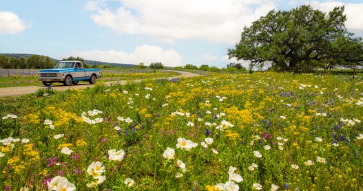 Why You Should Travel To The Texas Hill Country In 2024   AA1kFFVR.img