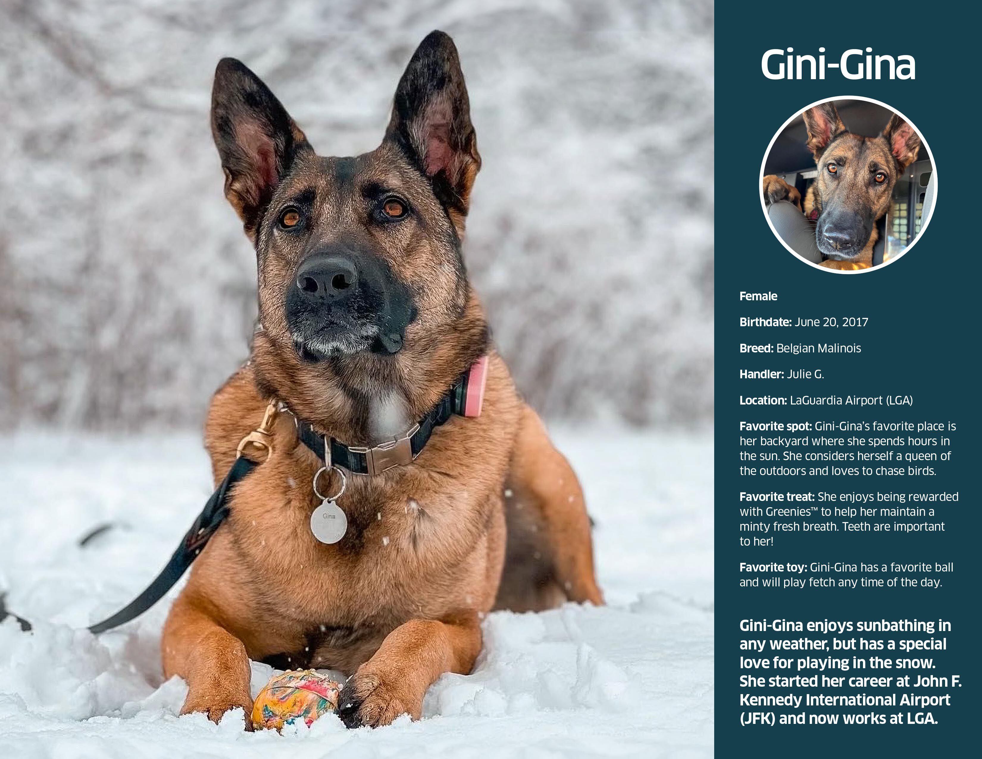 Good dogs TSA releases 2024 canine calendar