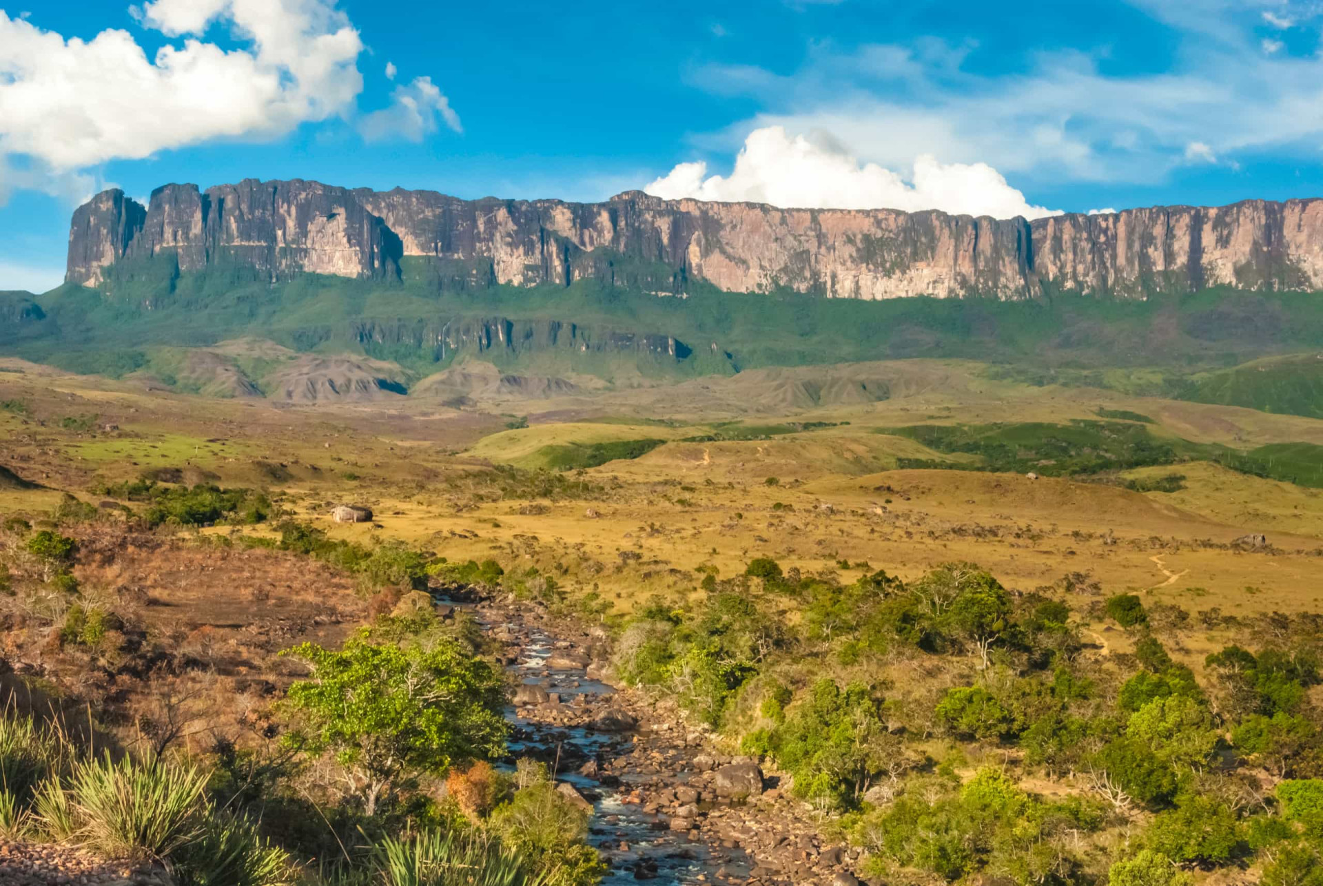 The last unexplored places on Earth