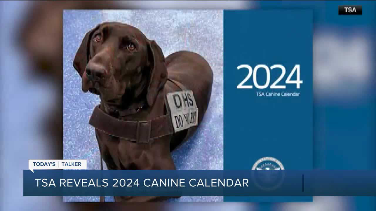 Meet the hardworking dogs featured on the 2024 TSA Canine Calendar