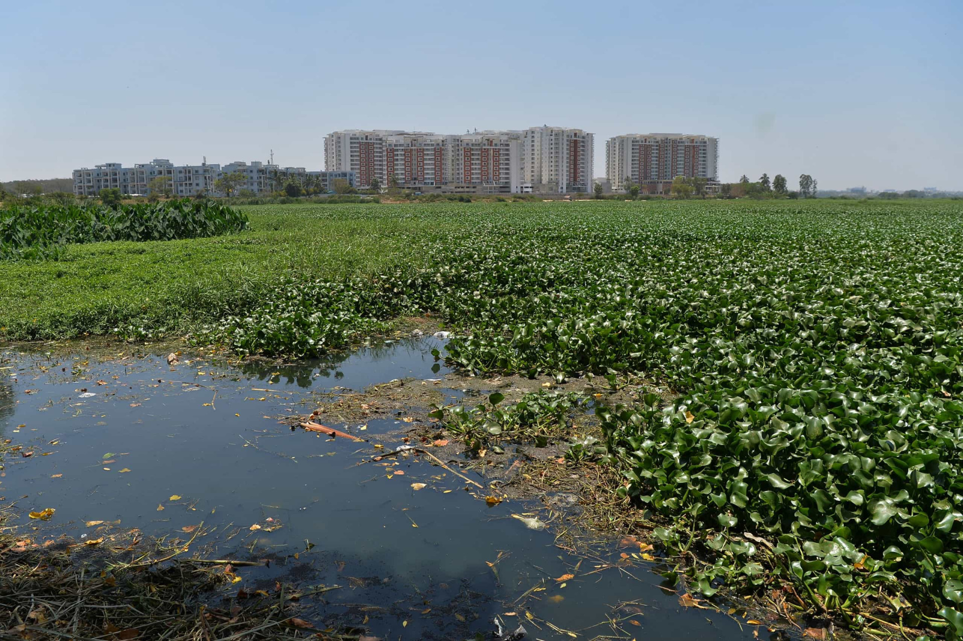the-most-endangered-lakes-in-the-world