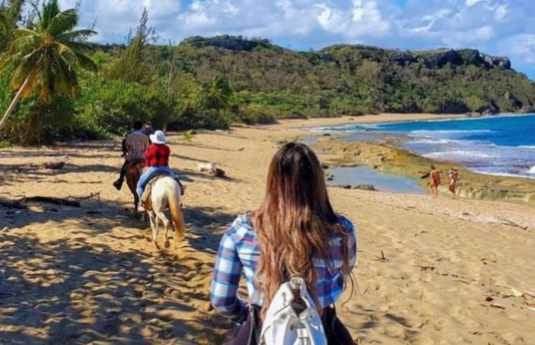 <p>The dream of horse riding along a windswept beach is a reality in Puerto Rico. Join a two-hour tour with <a href="https://tropicaltrailrides.com/">Tropical Trail Rides</a> and you’ll weave through a shady almond-tree forest, before riding along the sweeping sands of Survival Beach on the northwest coast, near Isabela. Owners Craig and Michelle Barker hail from California, came to Puerto Rico for a visit and never went home. As the sun sinks over the ocean, you’ll be tempted to stay too. </p>