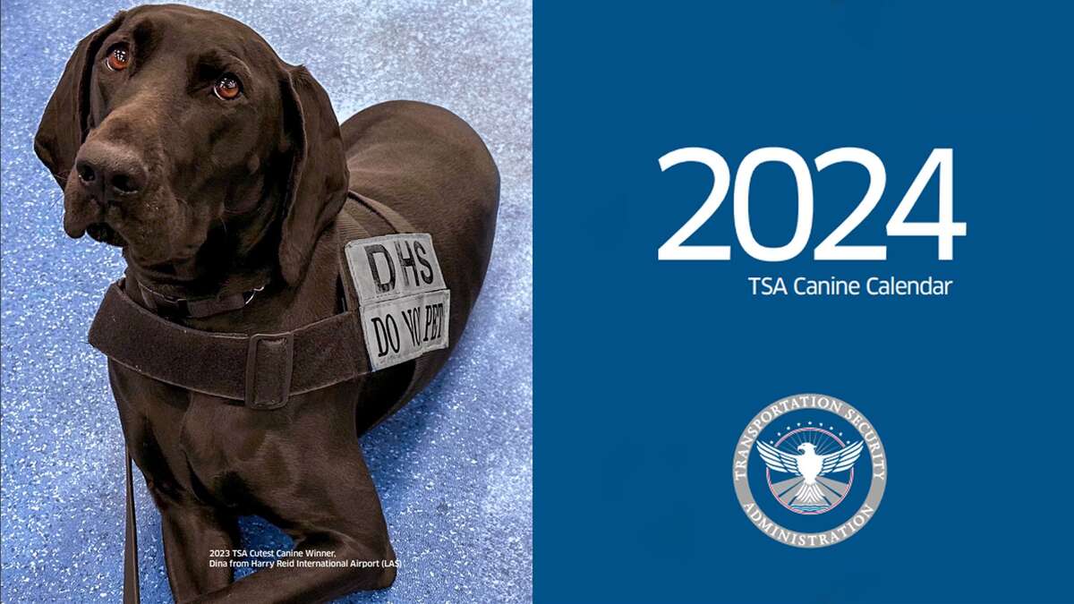 The TSA's 2024 Dog Calendar Has Arrived, Here's How to Snag One