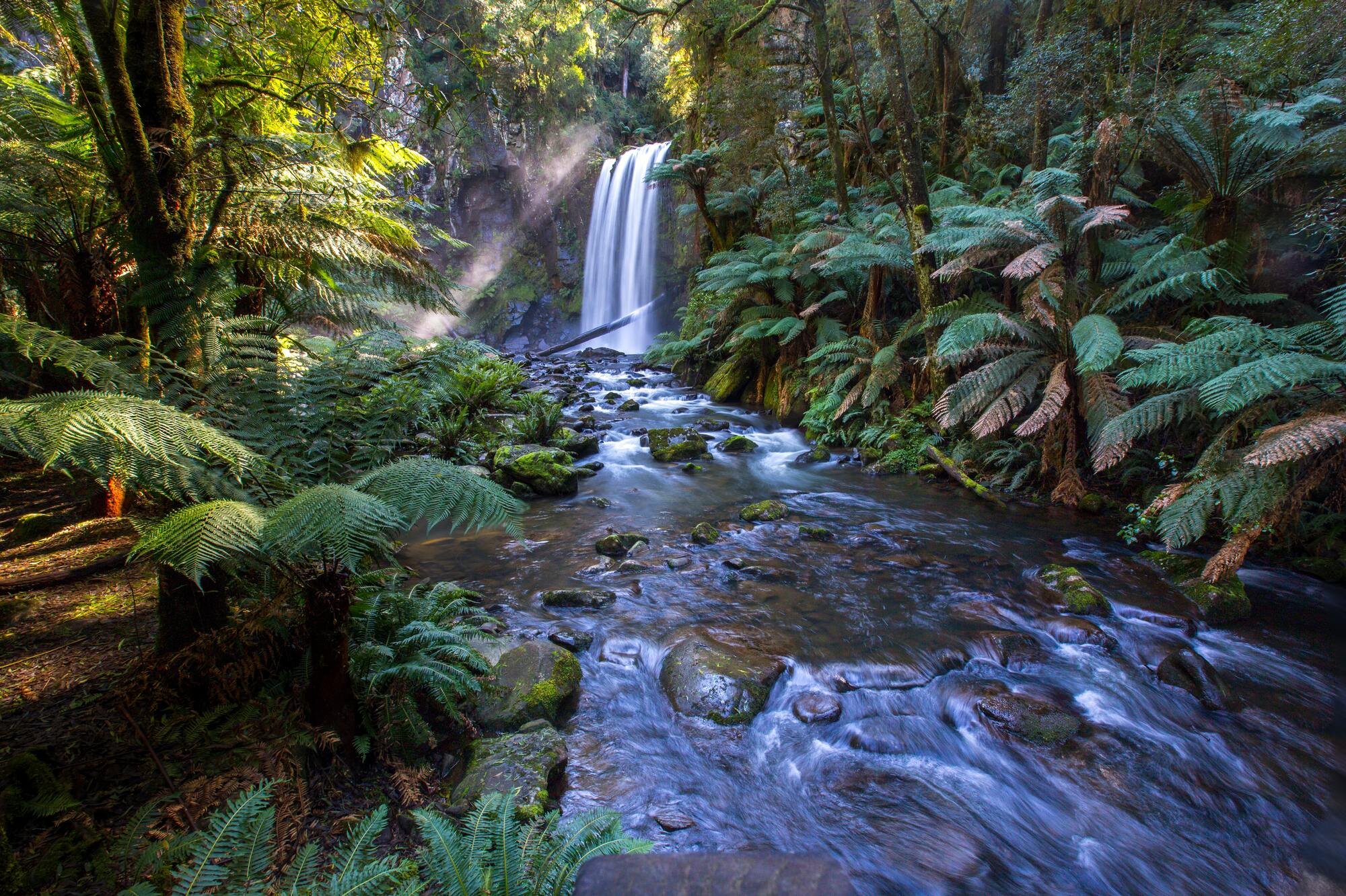 <p>Hopetoun Falls is located in the state of Victoria in Otway National Park. The waterfall drops from the top of the mountain into a small stream and runs through spectacular surroundings. It is another must-see and often-visited landmark in Australia.</p> <p>Photo: Steve Bittinger / Unsplash</p>