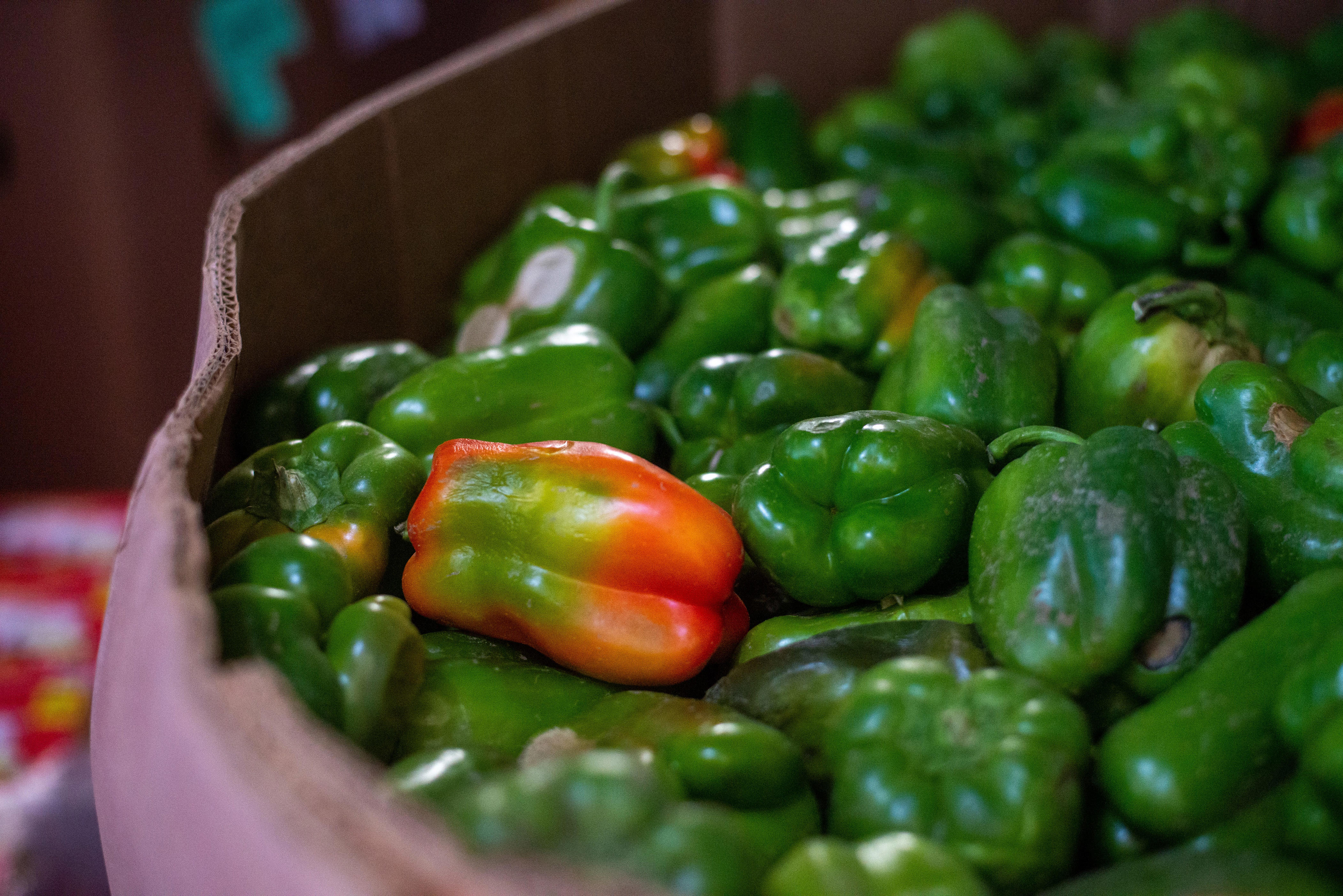 what is the healthiest bell pepper? the real difference between red, green and yellow.