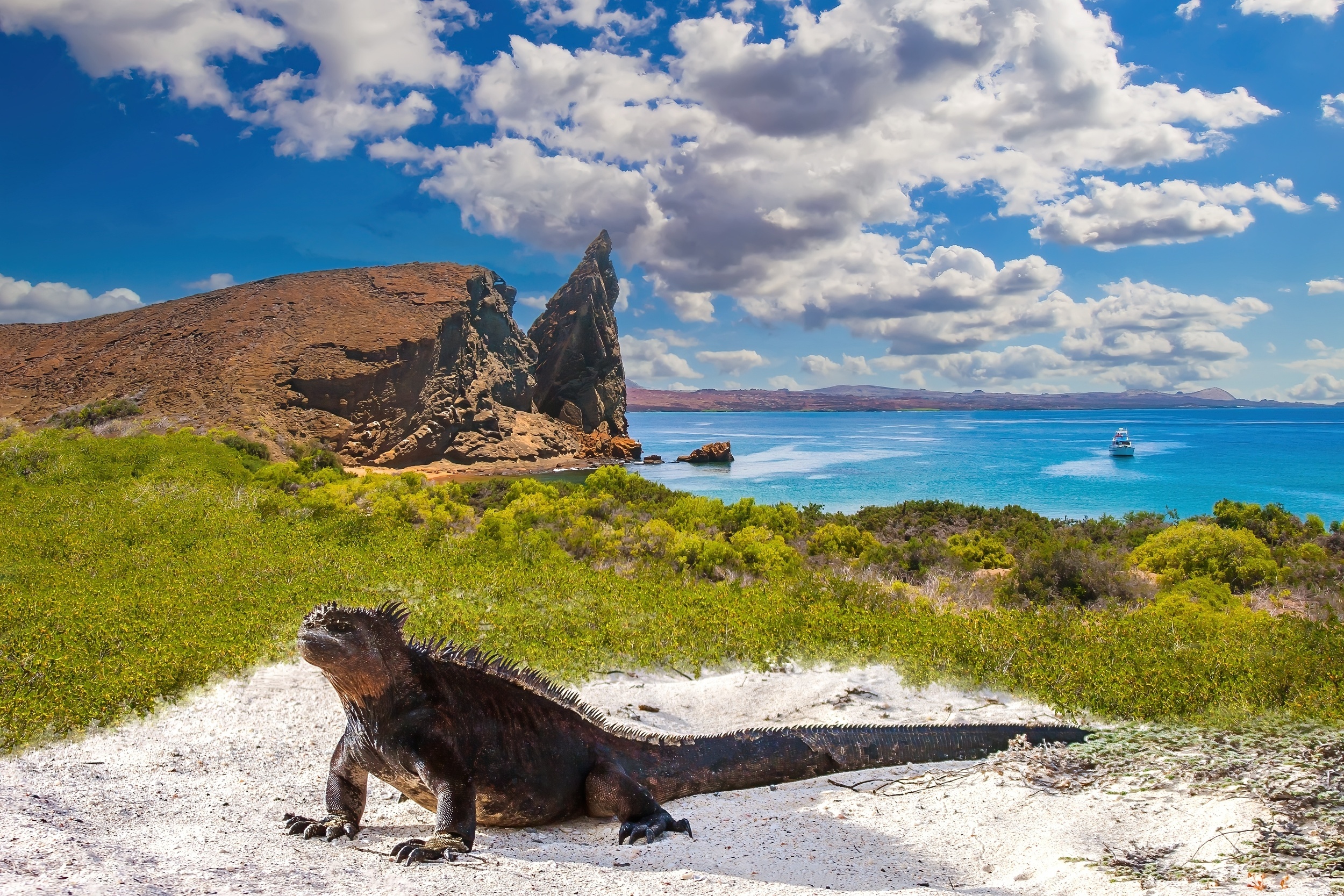 20 top travel destinations for epic marine life