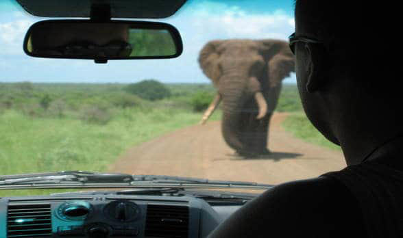 Africa is a wild and diverse continent that promises nothing short of adventure. It’s the second largest continent, made up of 54 countries, and presents travelers with a host of wonderful experiences, as well as …   Getting Around East And South Africa: Transportation Options Read More »