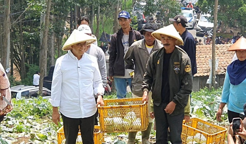 Apa Itu Contract Farming Yang Dipilih Anies Ketimbang Food Estate? Ini ...