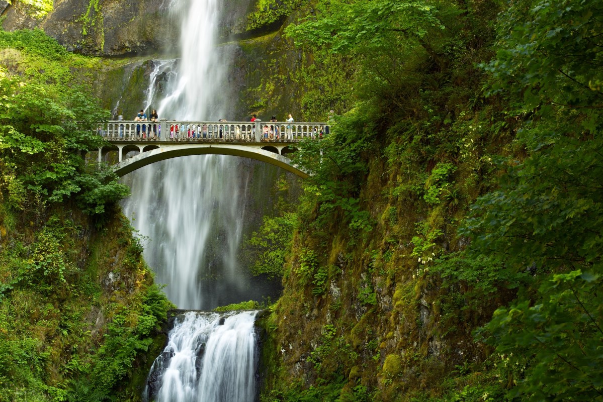 <p>The highlight of Columbia River Gorge is Multnomah Falls, the highest waterfall in the state; you can see it on your own, or a tour will take you to see even more scenery as well as lesser-known falls throughout the region. </p>