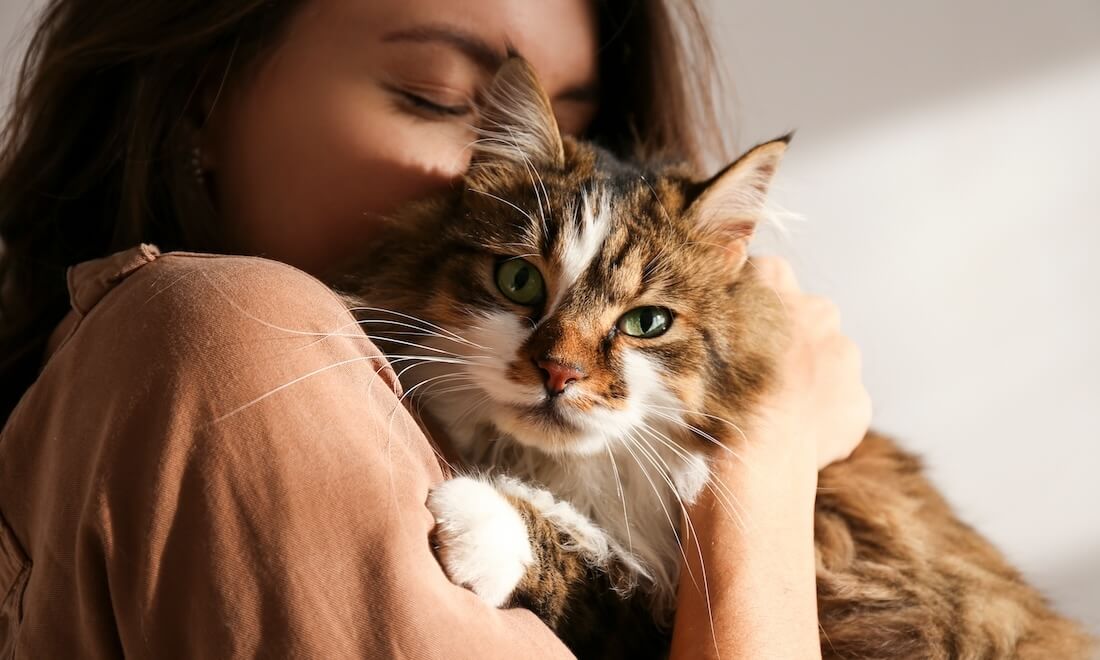 allergisch voor katten? purina heeft dé oplossing