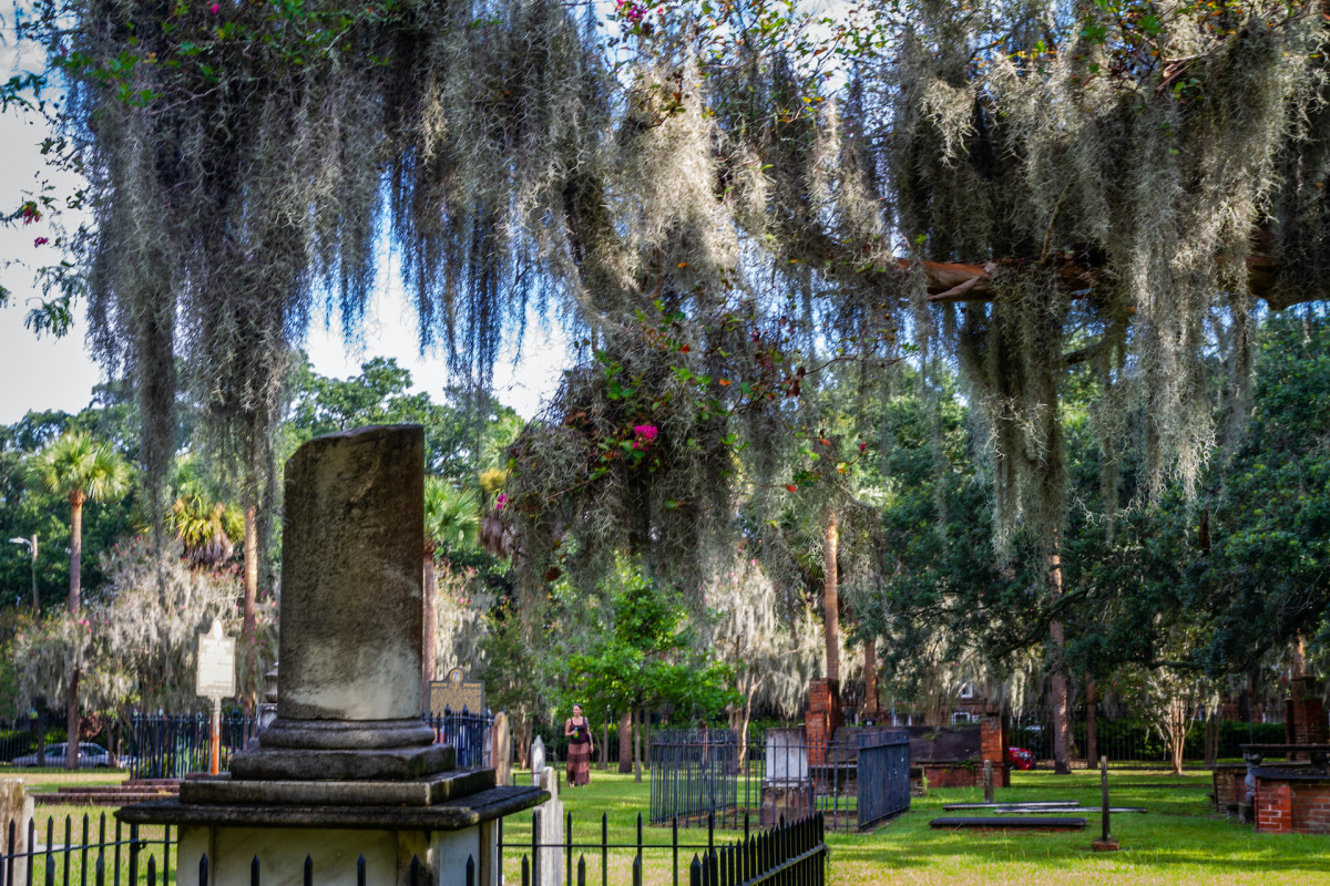 <p>A historical ghost tour takes a deep dive into Savannah’s history of war, executions, murders, and mystery. Visit the historic squares and cobblestone streets and see moss-draped oaks by lantern light and hear their eerie tales. Pictured is Savannah’s Colonial Park Cemetery.</p>