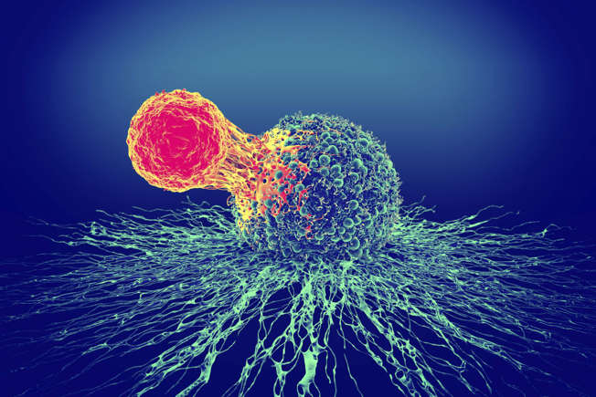Gamma delt T cells