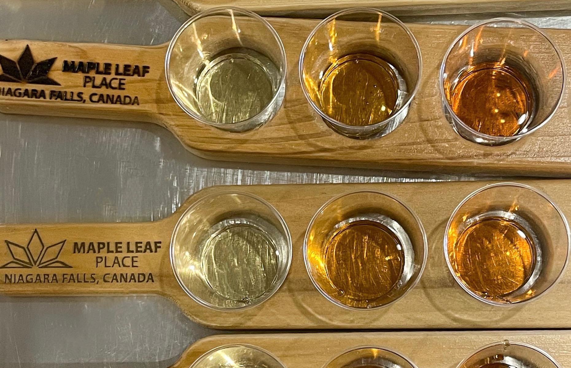 <p>Maple syrup tasting will give you a sweetness craving you didn’t know you had. Head to <a href="https://www.mapleleafplace.ca/">Maple Leaf Place</a> on River Road for a free tasting. Flights of three different varieties of maple syrup allow you to decide on your favorite – then you can buy some to take home. Taste golden, which is from the first harvest; amber, which represents mid-harvest; and dark, from the final harvest.</p>  <p>A word of warning: they’re all delicious. Before you leave, pick up a souvenir in the gift shop and pose with the giant toy moose.</p>