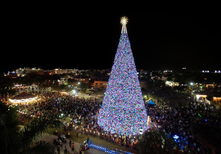 A guide to the best holiday tree lightings in Palm Beach County