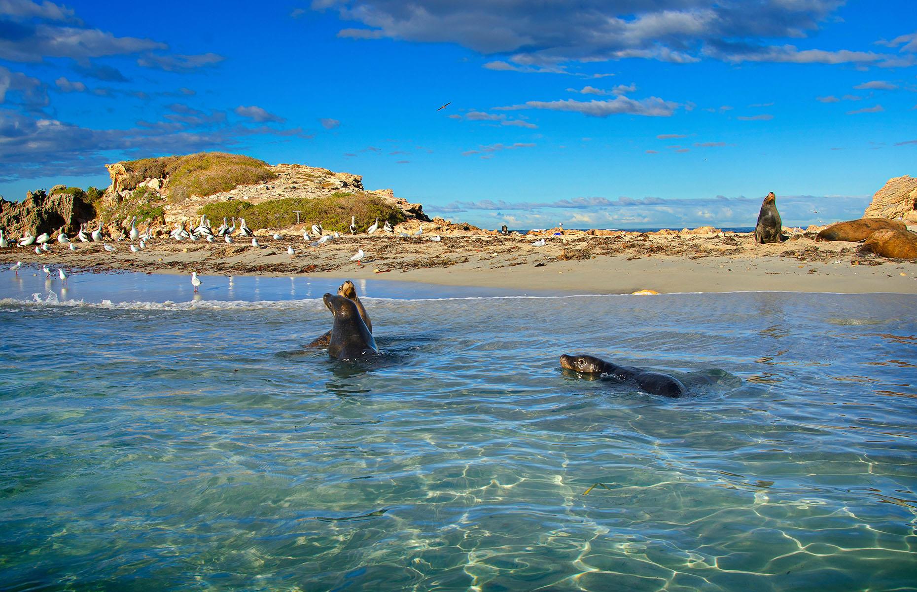 30 dreamy Australian islands to add to your bucket list