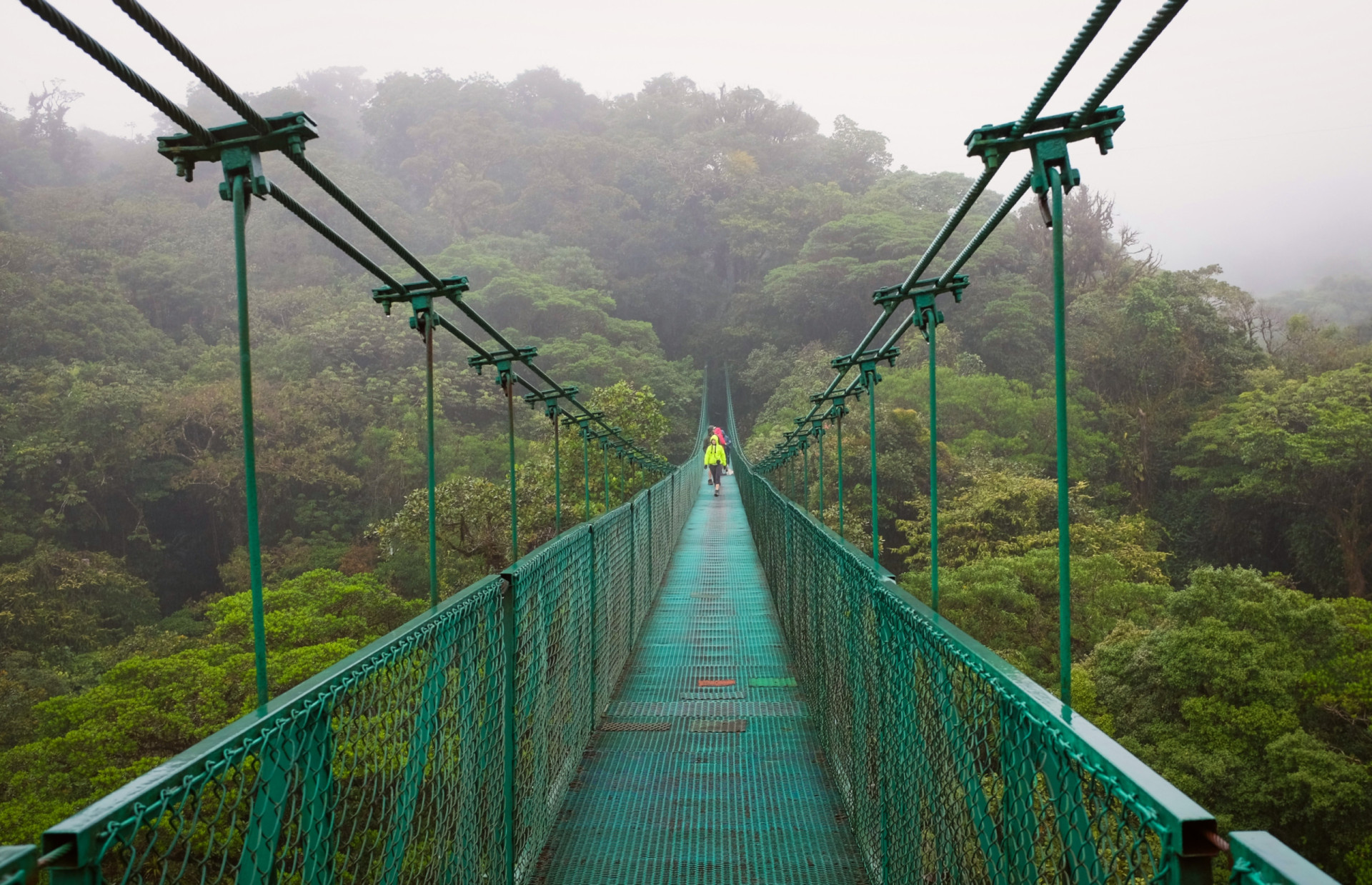 <p>A must-do for anyone visiting Costa Rica is to take a canopy tour following the suspension bridges set within the incredible Monteverde Cloud Forest. You'll wander through fog and low-hanging cloud cover and get thoroughly damp in the process, but come away with a truly memorable travel experience.</p>