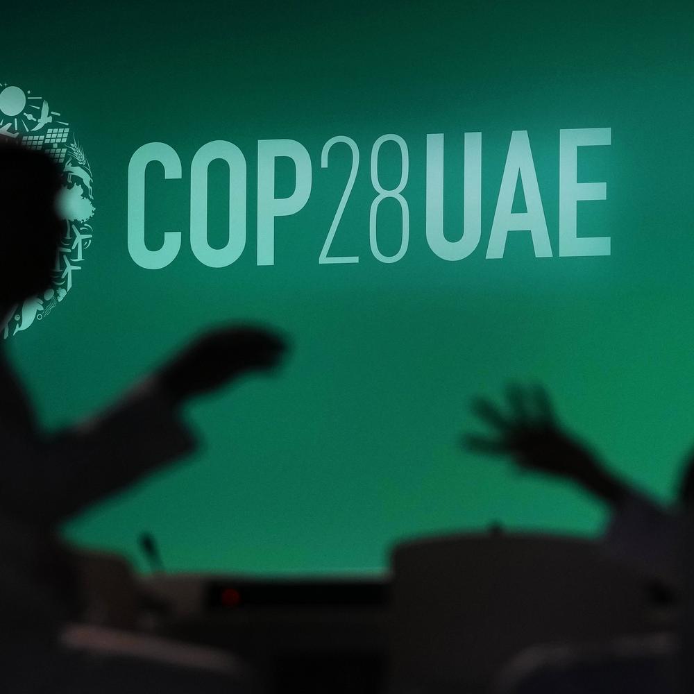 „wir brauchen keine weiteren gespräche“: rockström fordert reform von klimakonferenzen