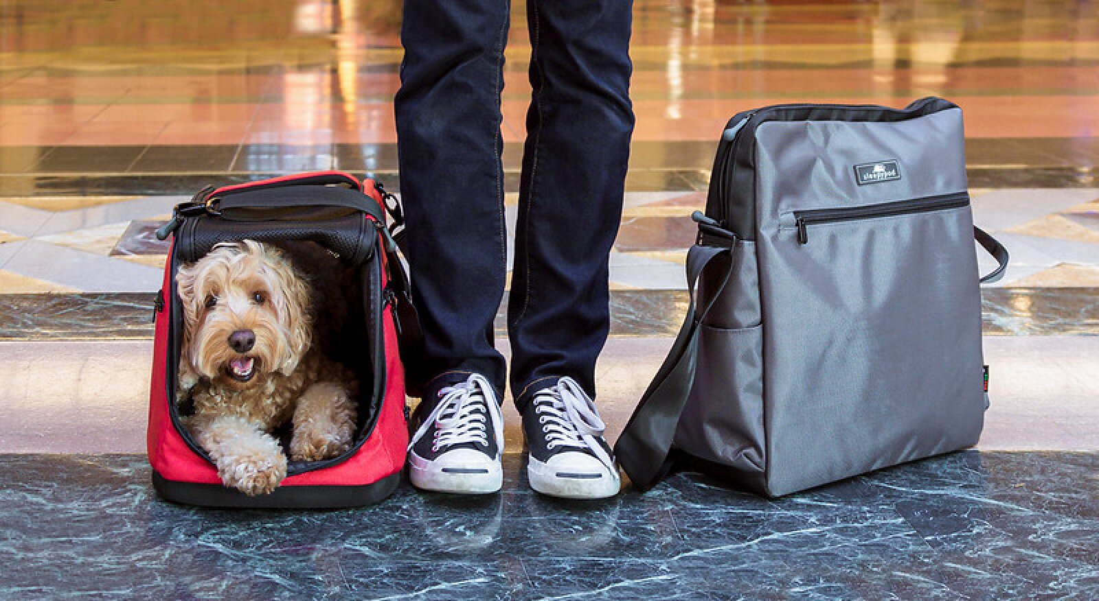 The 9 Best Airline-Approved Pet Carriers, According To Travelers