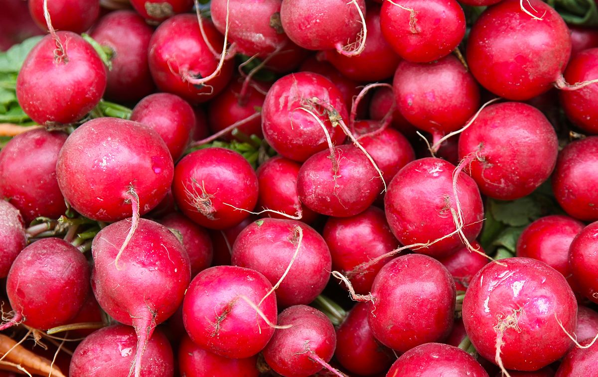 19 Top Nutrient-Dense Vegetables to Eat Daily, According to Nutritionists