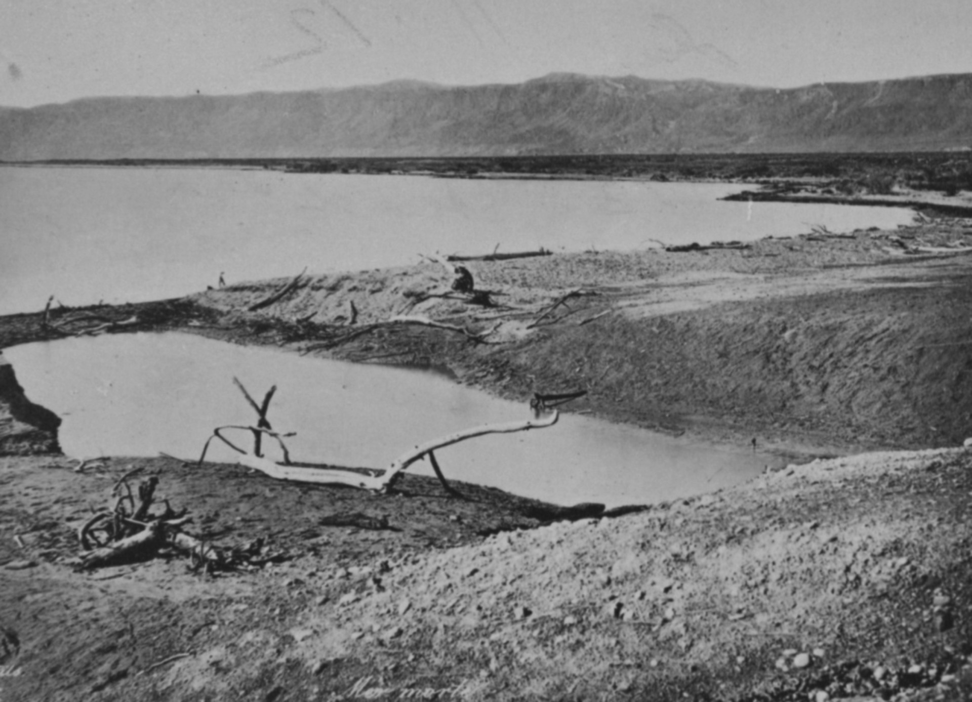 O principal adversário