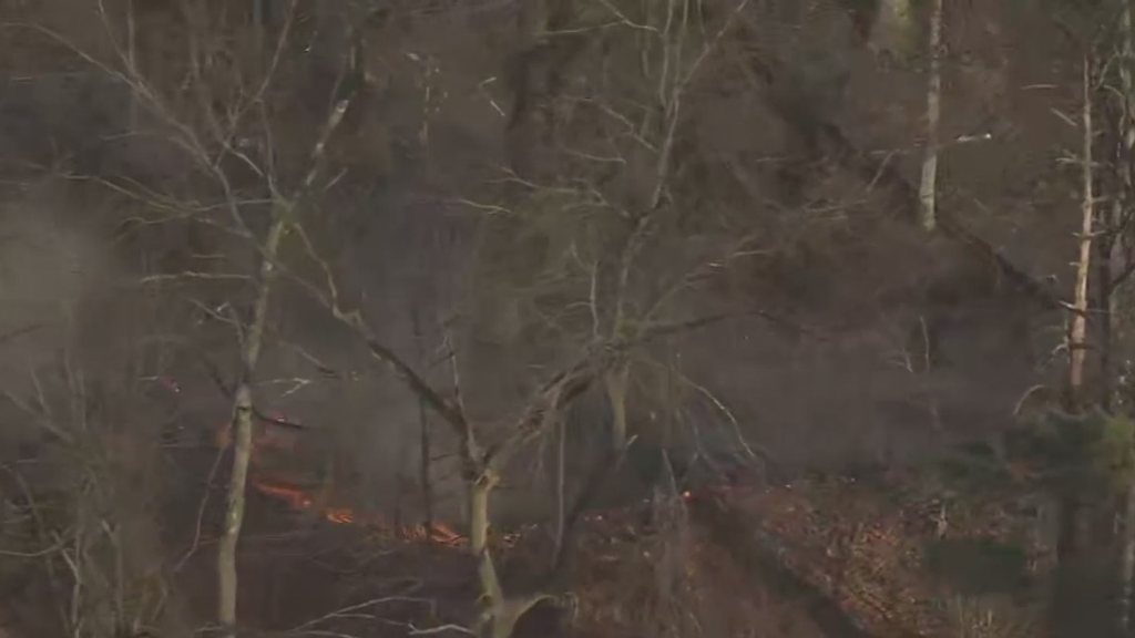 Crews Get Large Brush Fire Under Control At North Park