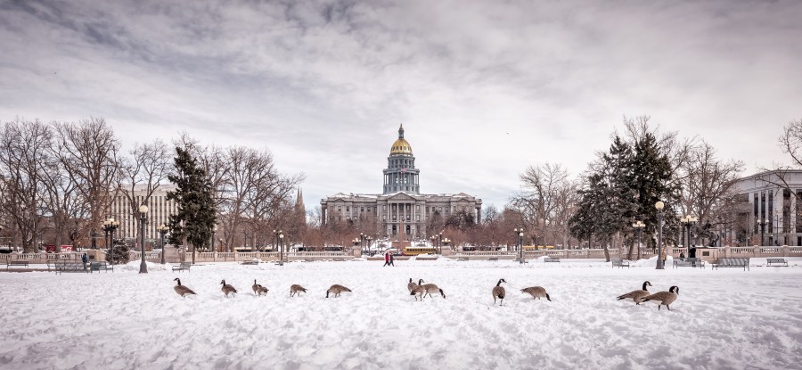 colorado outline of state        
        <figure class=