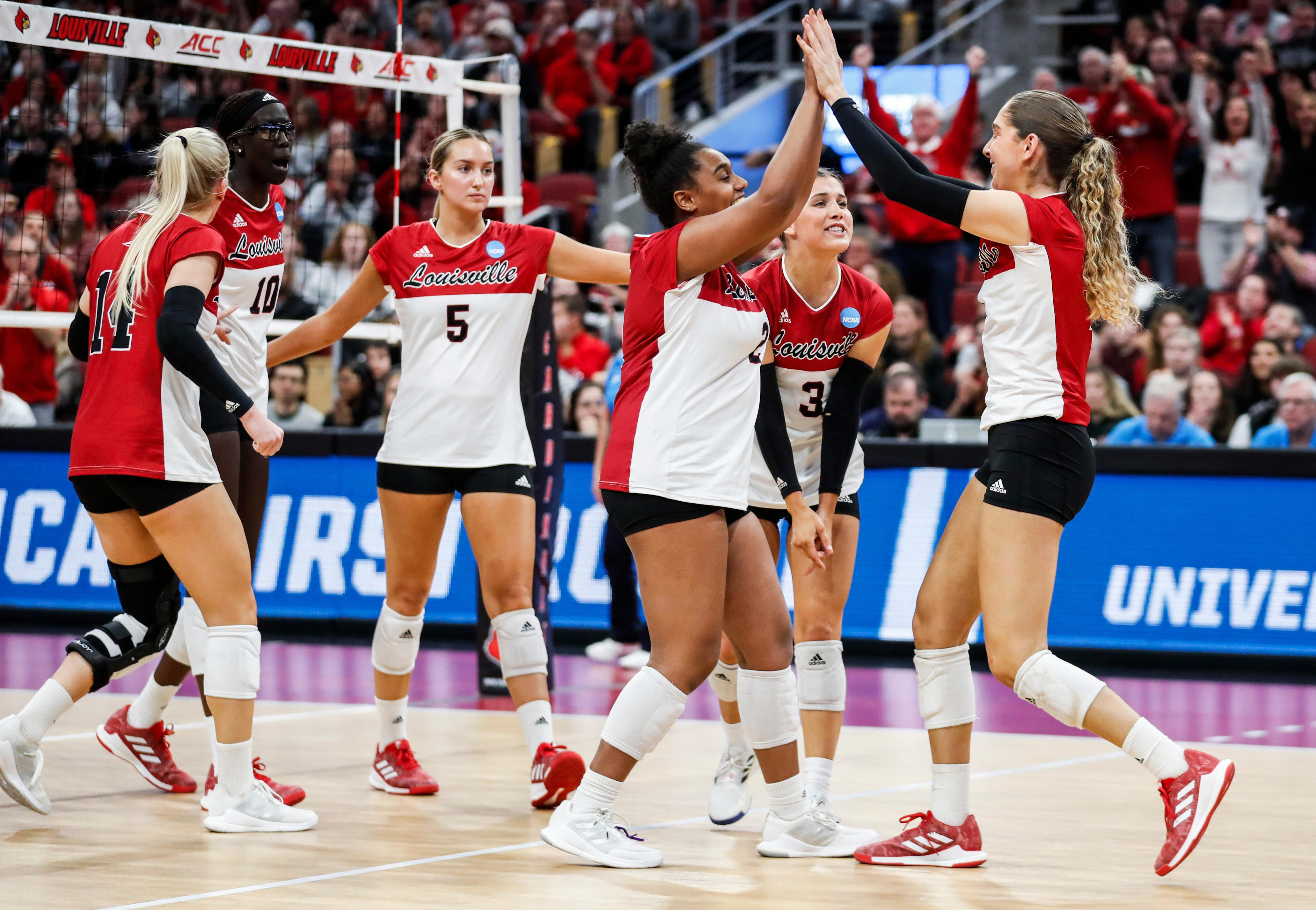 How to watch Louisville volleyball vs. Western Michigan in 2nd round of ...