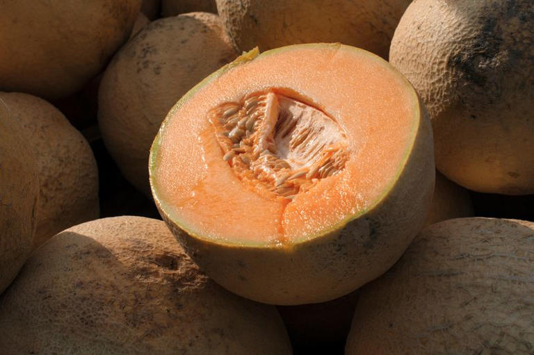 Cantaloupes are displayed for sale in Virginia on July 28, 2017