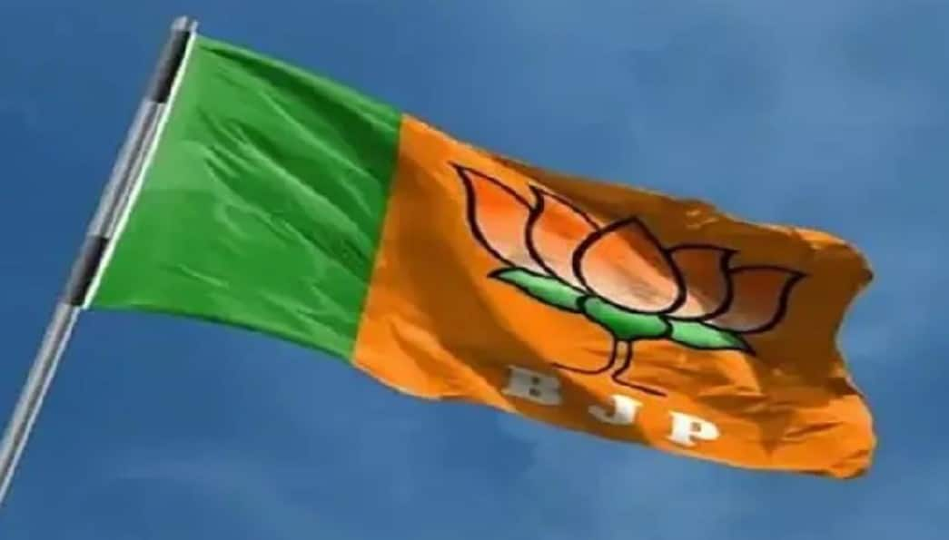 Lok Sabha Elections 2024: Karnataka BJP To Meet 13 Constituency Leaders ...