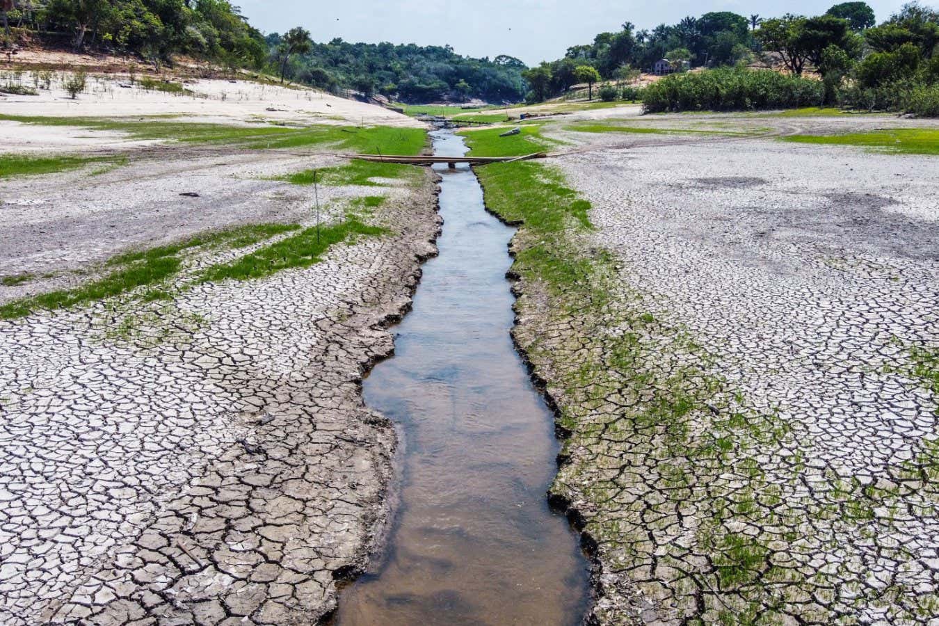 World Must Prepare For Frequent And Severe Droughts, Report Warns