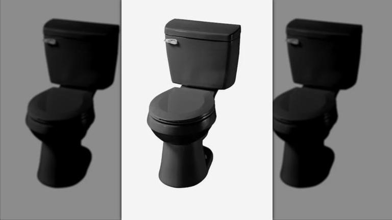 The Best Black Toilet To Keep Your Bathroom Looking Clean 