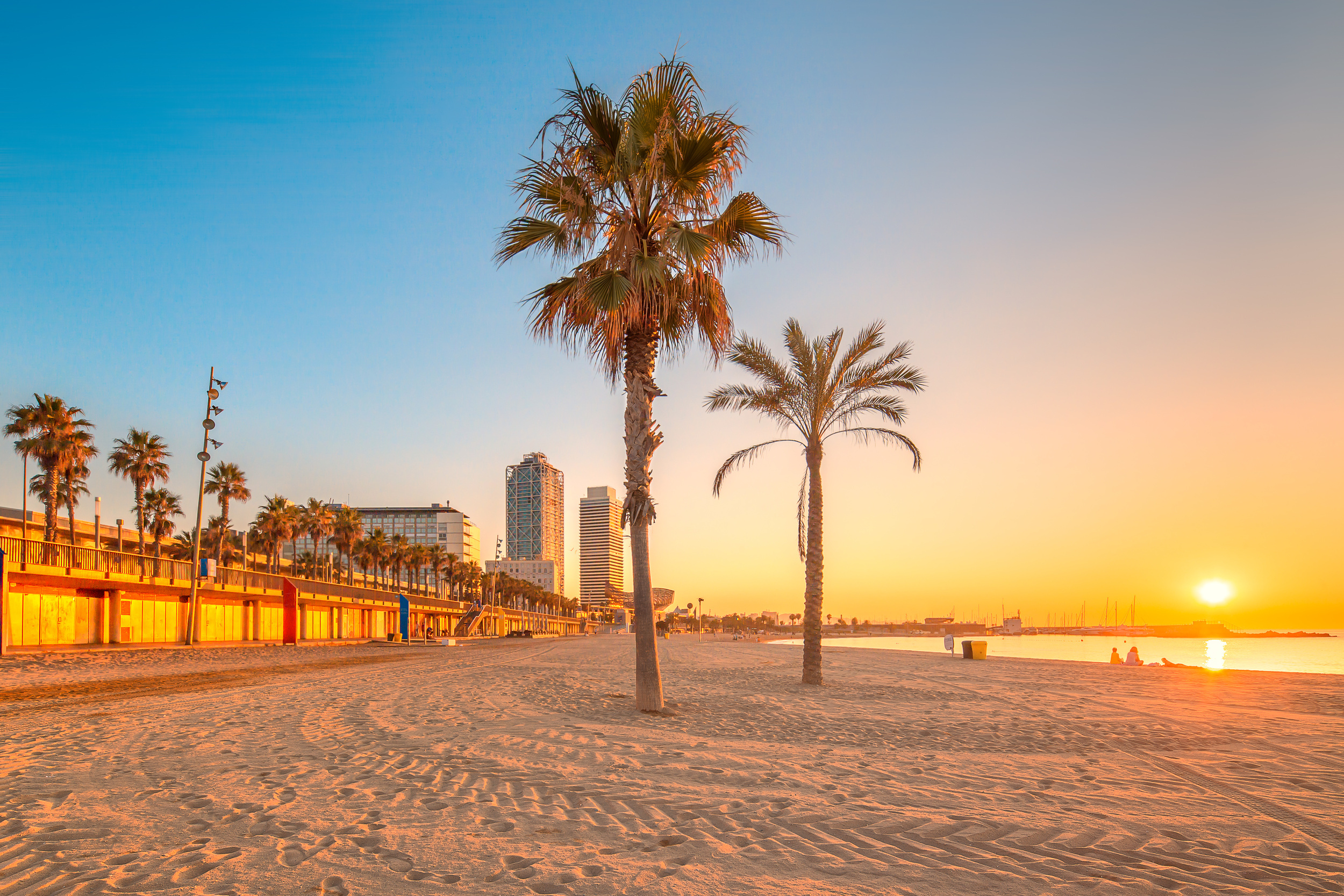<p>There’s a reason people can’t get enough of Barcelona, to the point that, back in 2015, some residents put a sign on one of the beaches telling tourists to go home. Now, the tensions have cooled a bit, and you can enjoy this cosmopolitan city and its numerous beaches without fear of being told to leave!</p><p>You may also like: <a href='https://www.yardbarker.com/lifestyle/articles/20_items_you_should_declutter_from_your_home_right_now_120123/s1__38830539'>20 items you should declutter from your home right now</a></p>