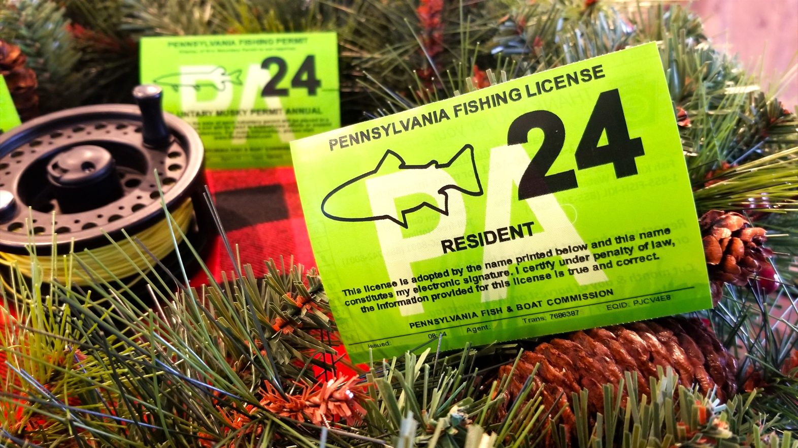 2024 Pennsylvania Fishing Licenses Now Available For Purchase   AA1kQrpq.img