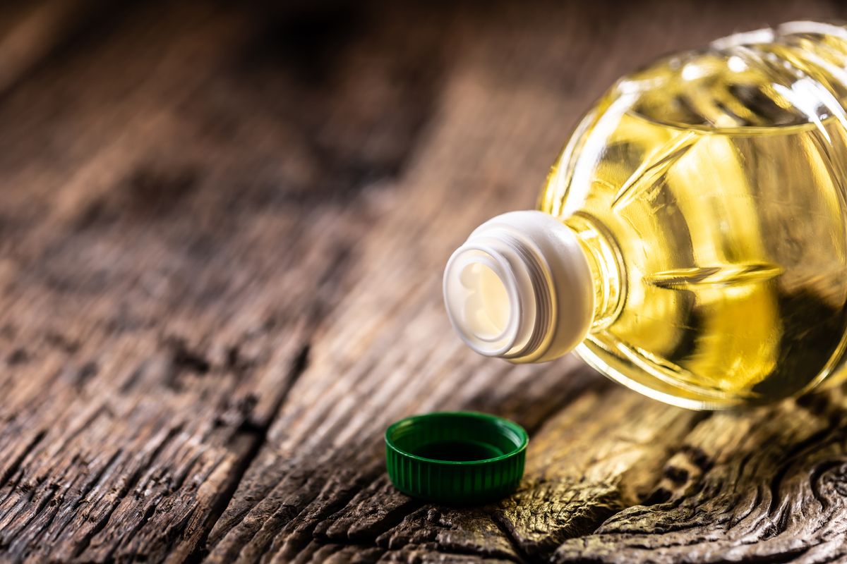 Everything You Need to Know About Cooking Oils