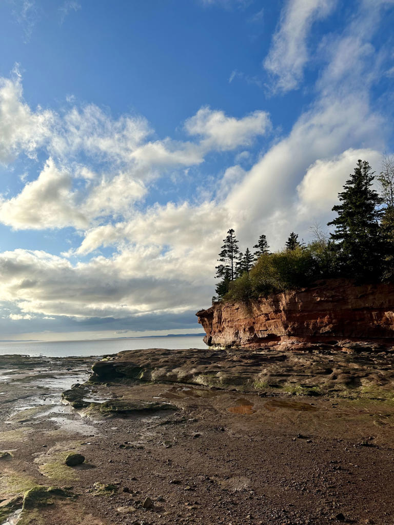 Burntcoat Head Park at low tide