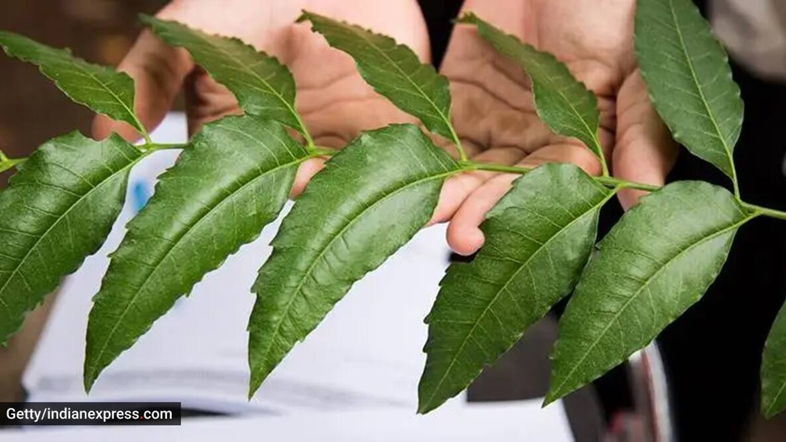 android, nutrition alert: here’s what a 100-gram serving of neem contains