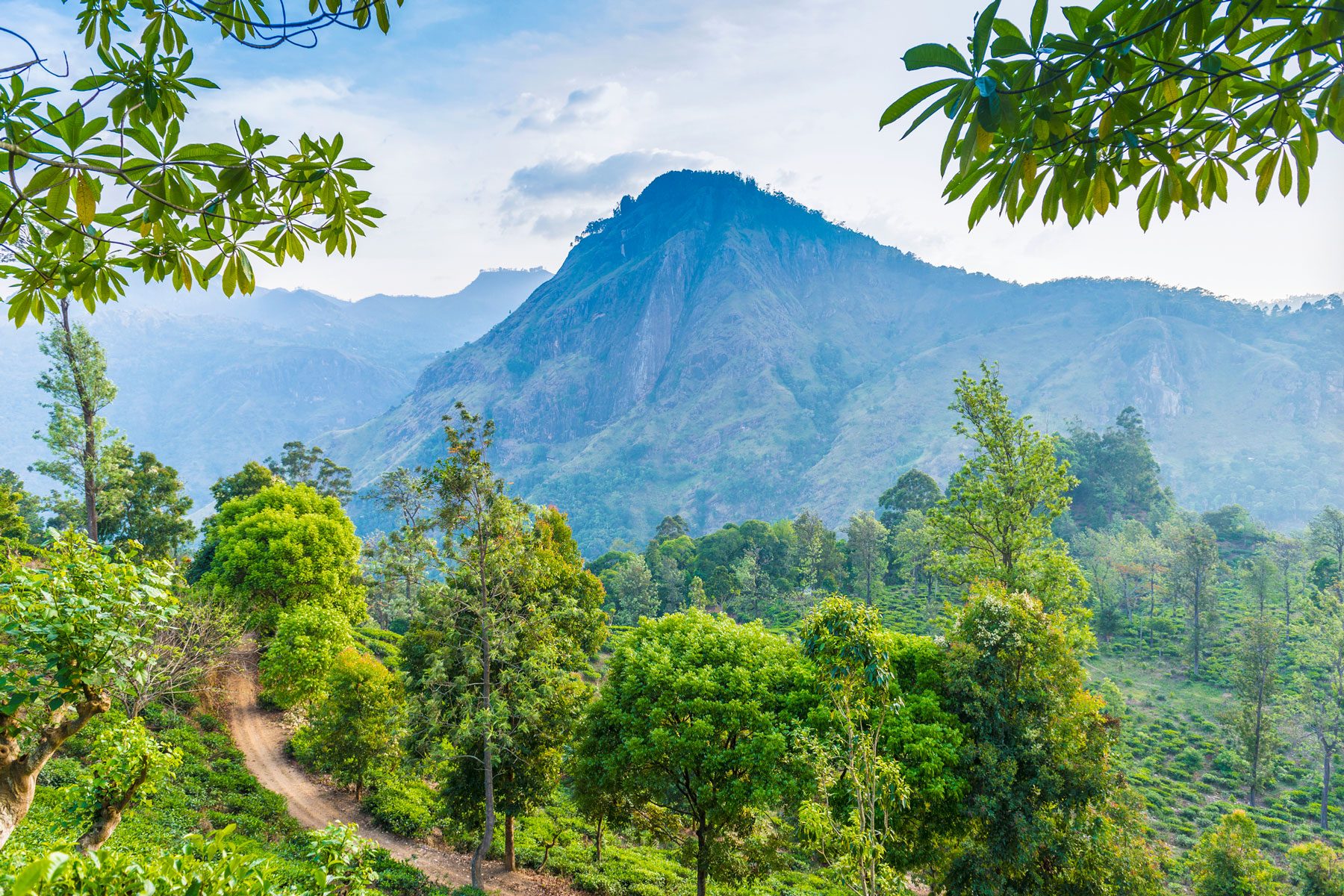 <p class=""><strong>Why you should go:</strong> To check out amazing new hiking trails and old cultures</p> <p>The newly opened Pekoe Trail in Sri Lanka is a fantastic way to explore the country's varied landscapes. Ten years in the making, the Pekoe Trail is the first collection of destination-based walking trails that aims to support remote communities, promote cultural heritage and showcase Sri Lankan scenery. Most of the trails opened in the fall of 2023, with a few more opening at the beginning of 2024.</p> <p>The 186-mile route starts in the central city of Kandy, famous for the Temple of the Tooth, and meanders through to stunning mountain views of Ella. Audley Travel, says Heverling, can arrange treks to the most scenic parts of the Sri Lanka trail. Hikers will walk on the region's famed tea trails, as well as through forests, jungle and remote towns and villages.</p> <p><strong>Where to stay: </strong>The experts at Audley recommend <a href="https://www.tripadvisor.com/Hotel_Review-g616035-d1222213-Reviews-The_Mountain_Heavens-Ella_Uva_Province.html" rel="noopener noreferrer">Mountain Heavens</a> for its fantastic infinity pool that will make you feel like you're literally floating over the valley. Big, comfy beds and modern amenities, not to mention a delicious included breakfast, all add up to a very luxurious end to a hike.</p> <p class="listicle-page__cta-button-shop"><a class="shop-btn" href="https://www.tripadvisor.com/Hotel_Review-g616035-d1222213-Reviews-The_Mountain_Heavens-Ella_Uva_Province.html">Book Now</a></p>