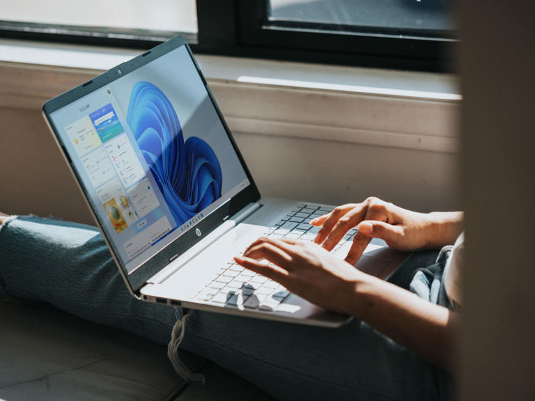 Shot of a person using an HP laptop running Windows 11.