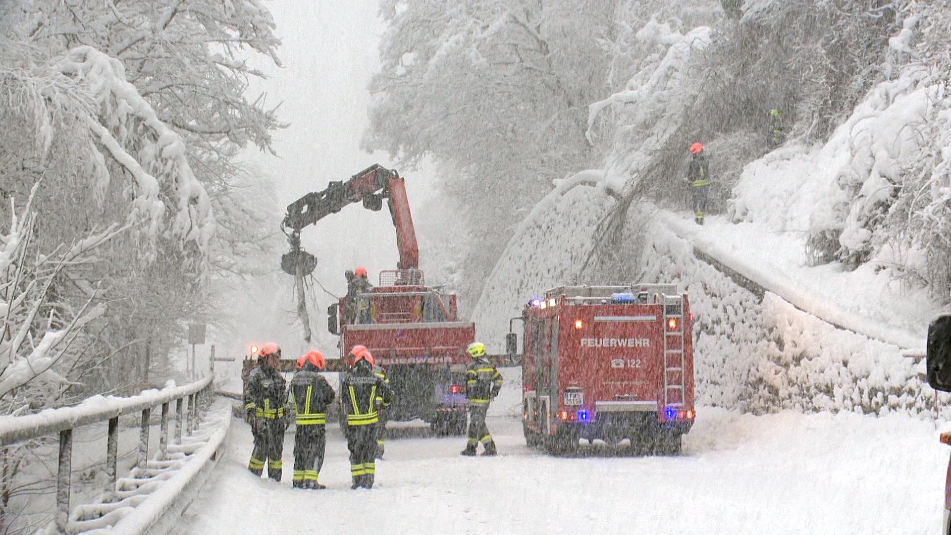 schneefälle: a 21 gesperrt + zwei feuerwehrleute in oö von baum getroffen