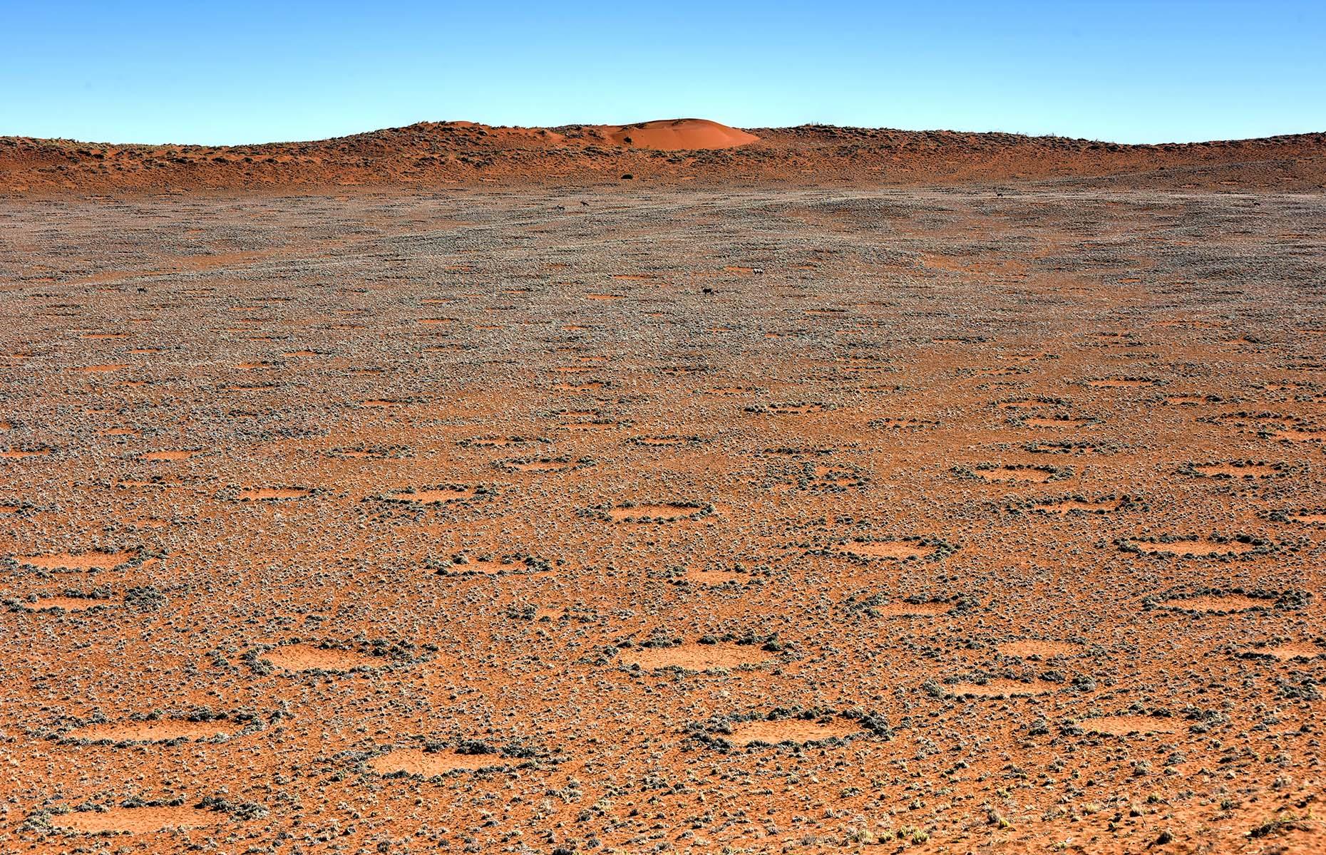 Кругом было пустынно. Ведьмины круги пустыни Намиб. Круги пустыни Намиб. Ведьмины круги в Намибии. Пустыня Намиб загадочные круги.
