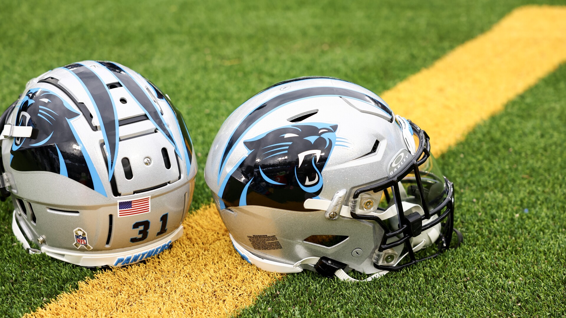 Panthers Request Interview With Lions COO Mike Disner