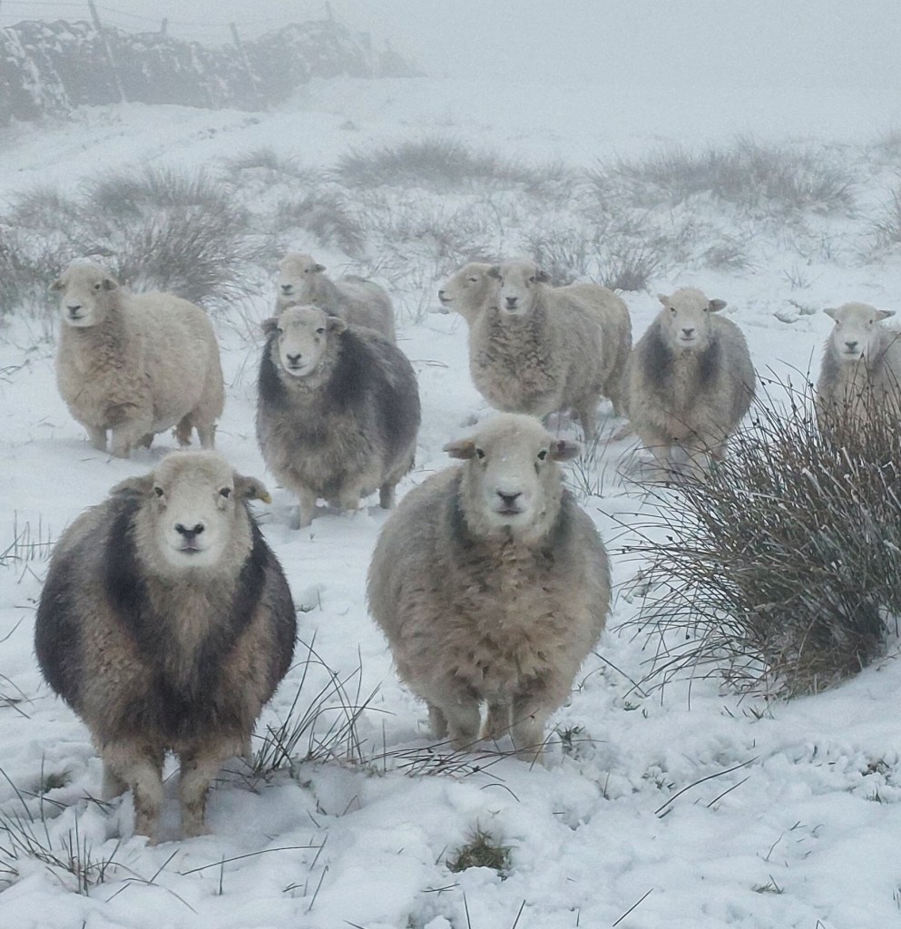 In Pictures: Cold Snap Continues As Snow And Ice Warnings Issued In UK