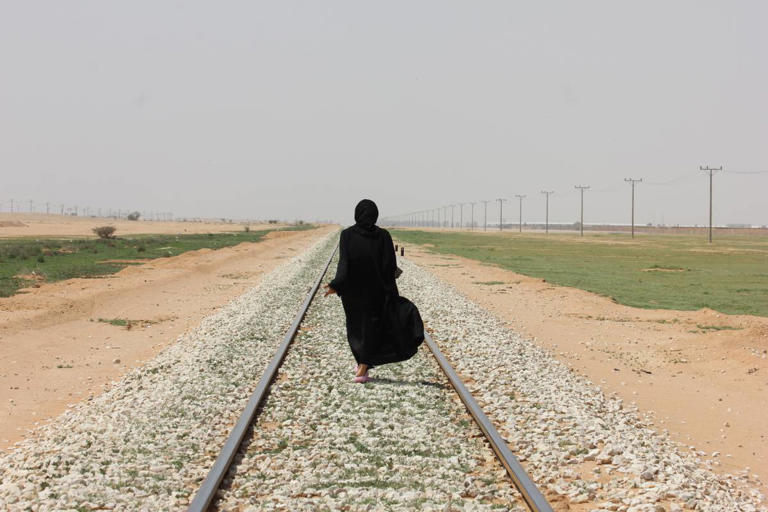 See Saudi Arabia's Scenic Landscape by Train: Budget-Friendly Travel Guide