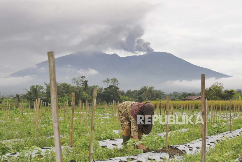 Mengapa Pendakian Tetap Dibuka Meski PVMBG Sebut Marapi Berstatus ...