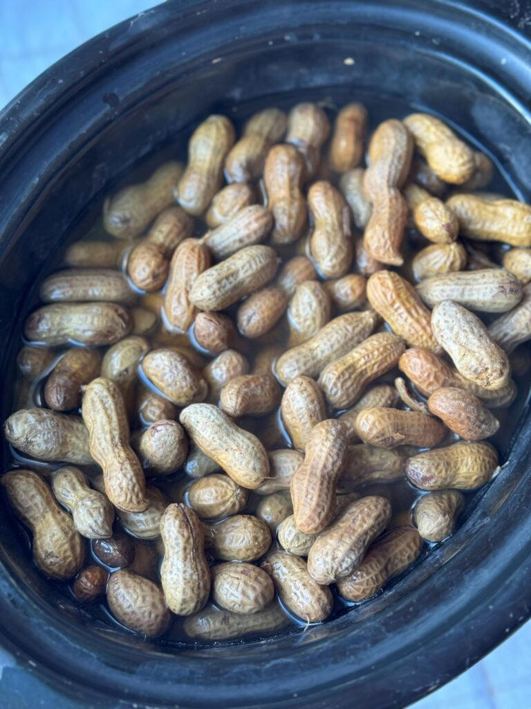 CROCK POT BOILED PEANUTS